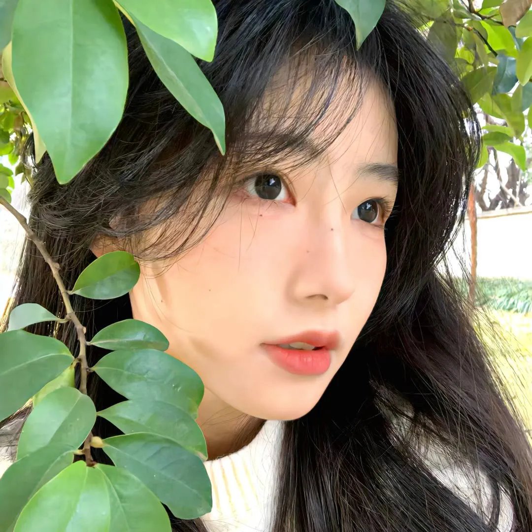 鬼影幢幢封面